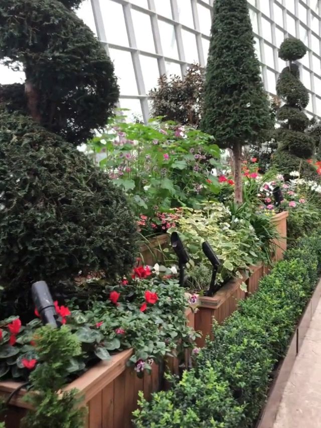 Guinness World Record for World’s Largest Glass Greenhouse 🇸🇬