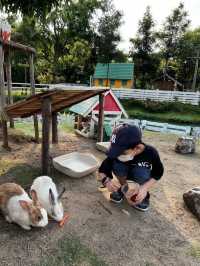 ปานชีวา เรสเตอรองท์ แอนด์ คาเฟ่