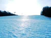 ลานสกี Yatsugatake chushin Hiland