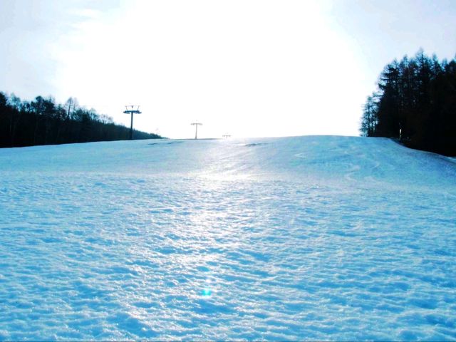 ลานสกี Yatsugatake chushin Hiland