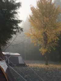Camping in the woods 🍂