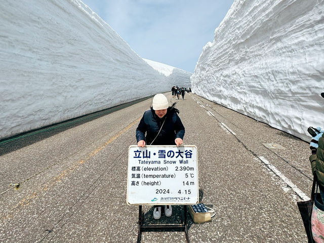 探訪立山黑部：壯麗的雪山觀光之旅 🏔️🌸