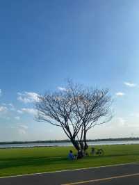 🌿 บึงสีไฟ พิจิตร