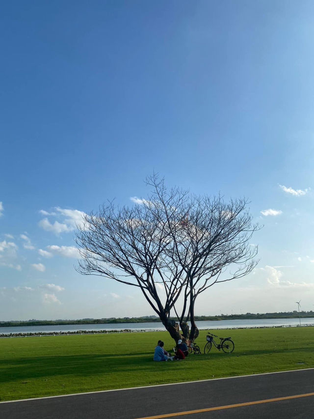 🌿 บึงสีไฟ พิจิตร