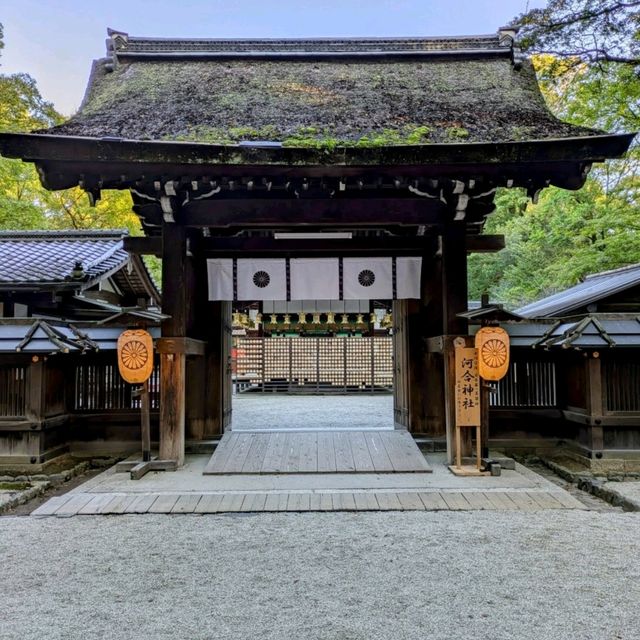 【京都】京都女子旅必見！美麗の神様 下鴨河合神社