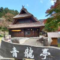 西湖療癒之里根場