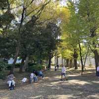 Ueno Park • Tokyo 🇯🇵 Japan