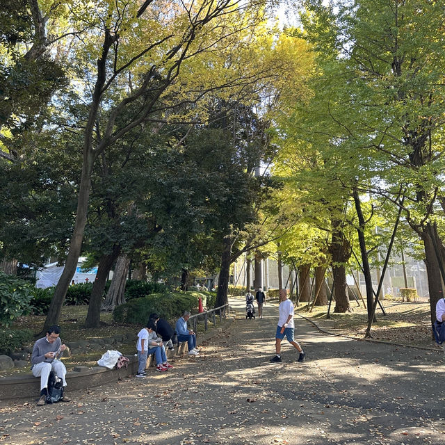 Ueno Park • Tokyo 🇯🇵 Japan