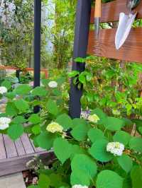 【千葉】植物好きは絶対に行ってほしい!!オシャかわショップ