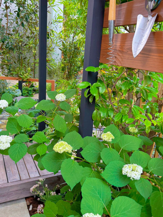 【千葉】植物好きは絶対に行ってほしい!!オシャかわショップ