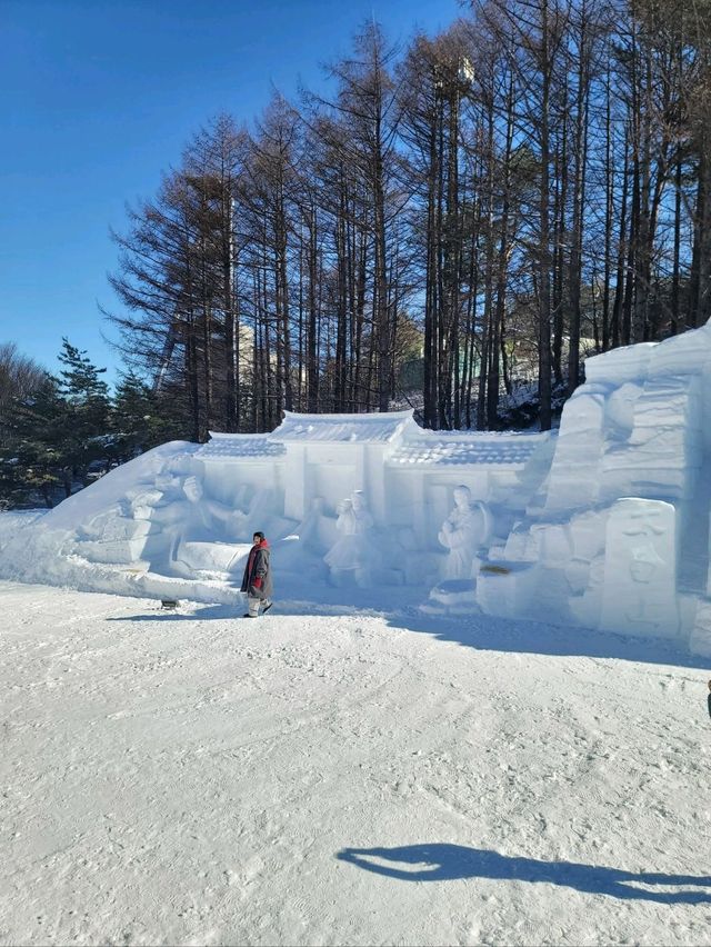 새하얀 눈꽃밭을 맘껏 즐길수 있는 태백눈꽃축제❄️
