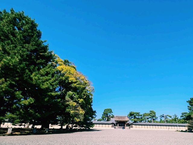【広々とした京都御苑をのんびり散歩】