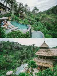 คาเฟ่วิวนาขั้นบันไดในบาหลี