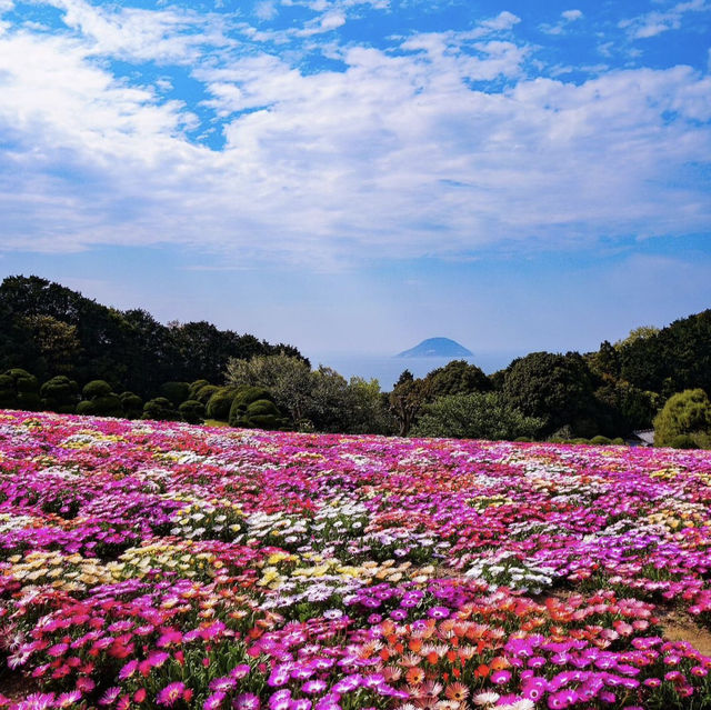 能古島海島公園，絕美風景令人讚嘆