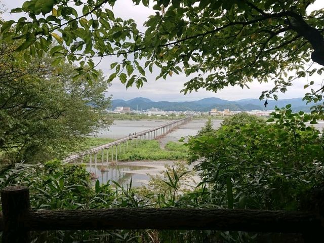 静岡/厄無し(897.4)橋