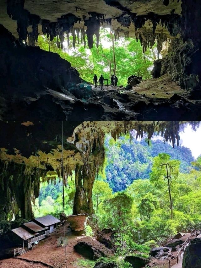An appealing and challenging outdoor adventure@The Niah National Park.