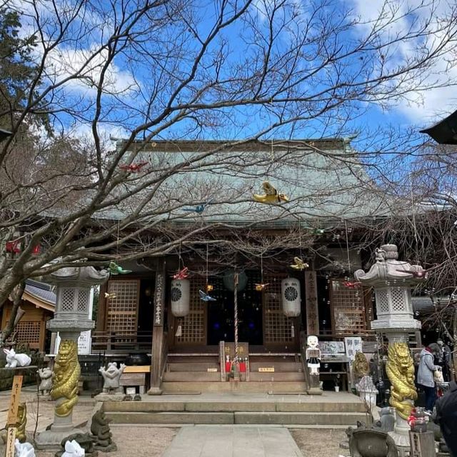 ชมความน่รักของกบ🐸ที่Nyorin-ji