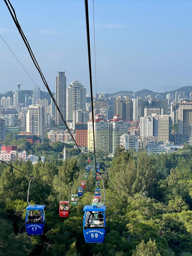 廈門旅遊～登高賞景 好刺激！