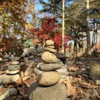 A Beautiful Escape: Nami Island Review