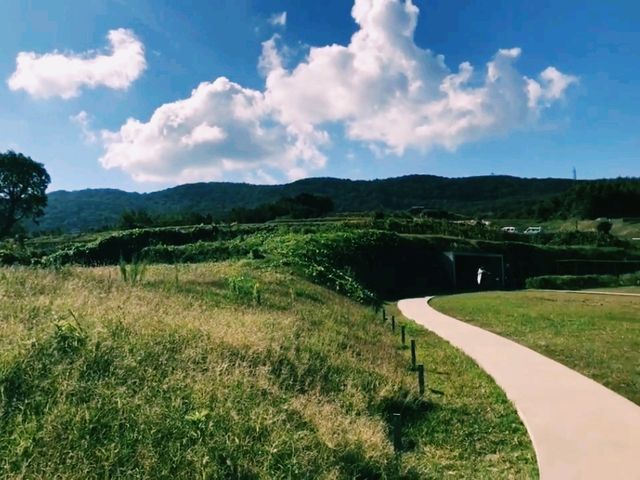 【香川×豊島美術館】自然とアートが融合する癒しの空間