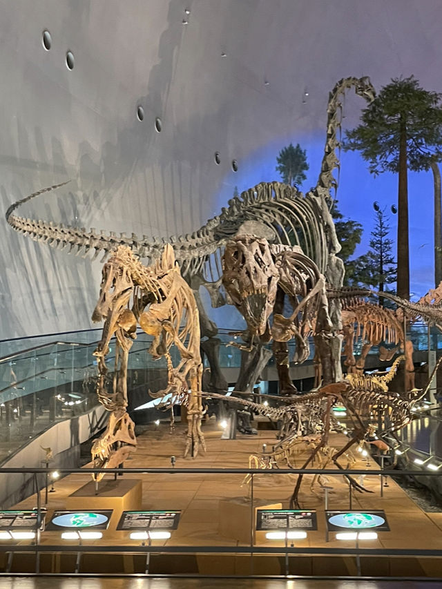 福井観光におすすめ🥰🦕見どころたっぷり！福井県立恐竜博物館🦕