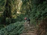 Mardi Himal 
