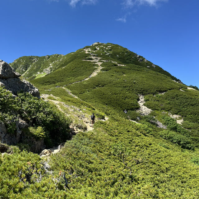【仙丈ヶ岳】⛰️南アルプス