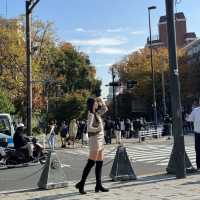 東京表參道附近一天行程推薦🚶🏻‍♀️‍➡️