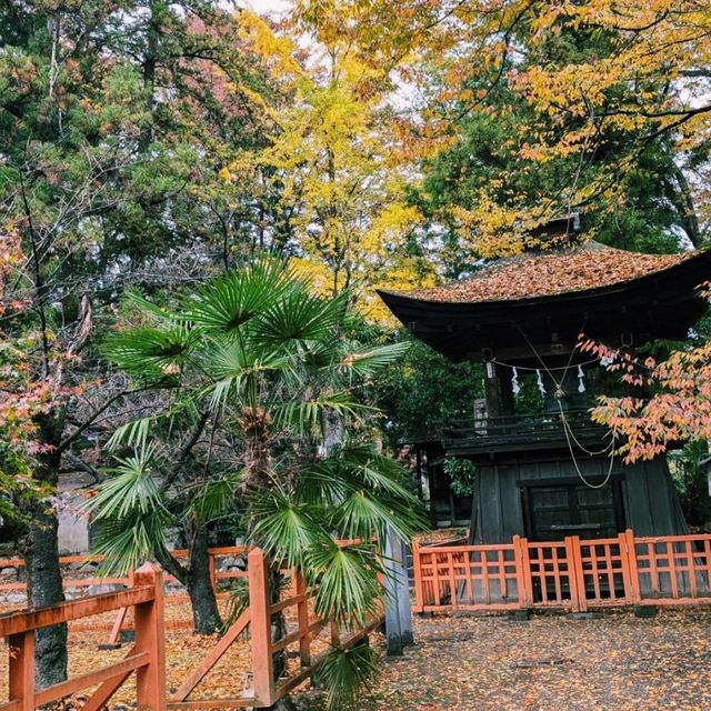 窪八幡神社(大井俣窪八幡神社)