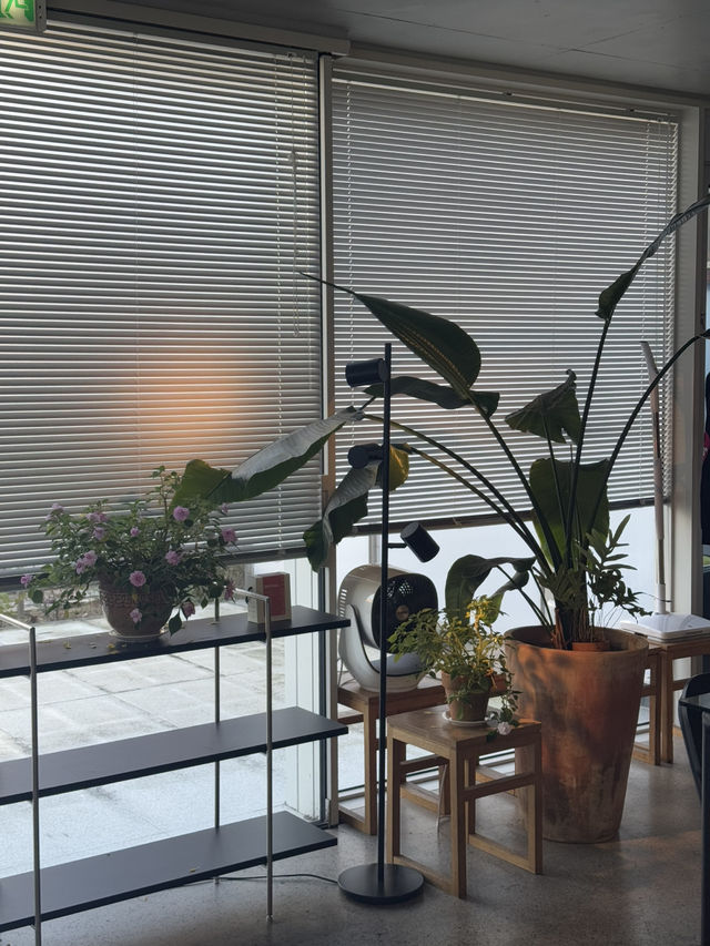 창원 가로수길 카페 데이트☕️