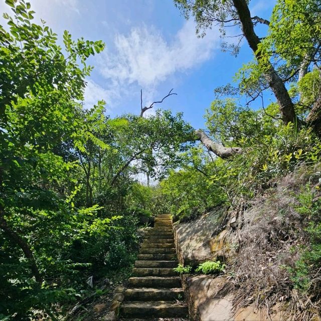 Exploring the Historic Inner Middle Head Battery