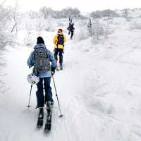 Åre Duved: A Hidden Gem in Sweden’s Winter Wonderland