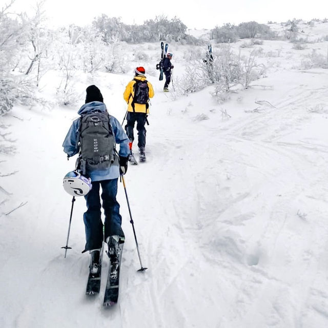 Åre Duved: A Hidden Gem in Sweden’s Winter Wonderland