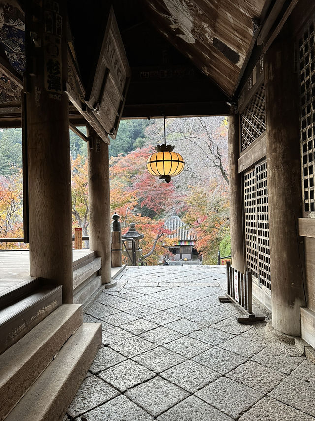 【奈良　長谷寺】