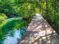 Chillin’ at Krabi’s Emerald Pool: A Hidden Gem