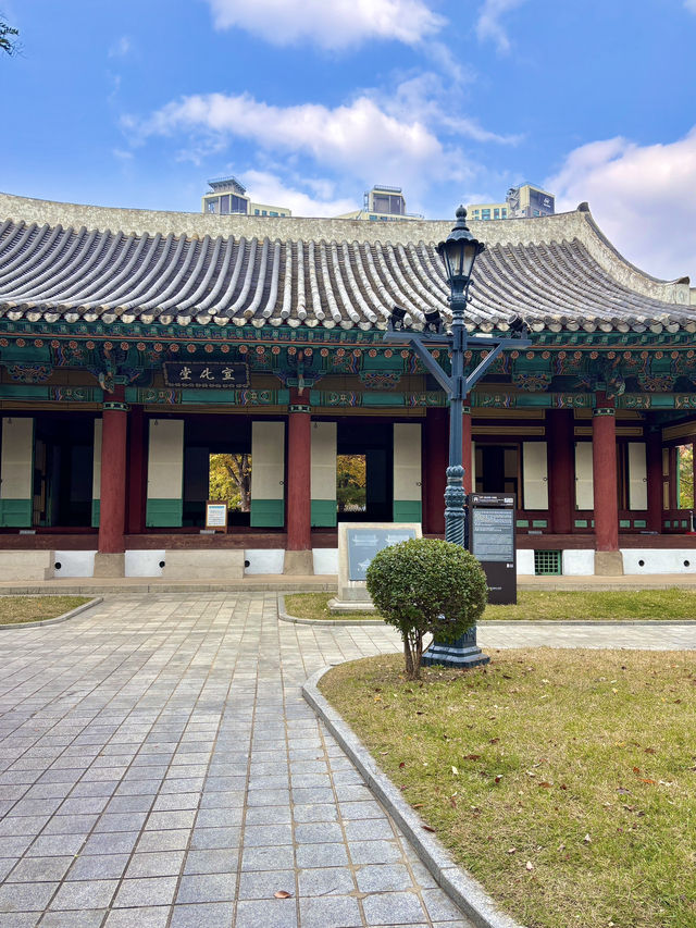 대구에서 산책하기 좋은 역사가 있는 공원🌳💚