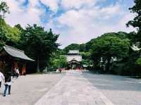 鎌倉🇯🇵鶴岡八幡宮