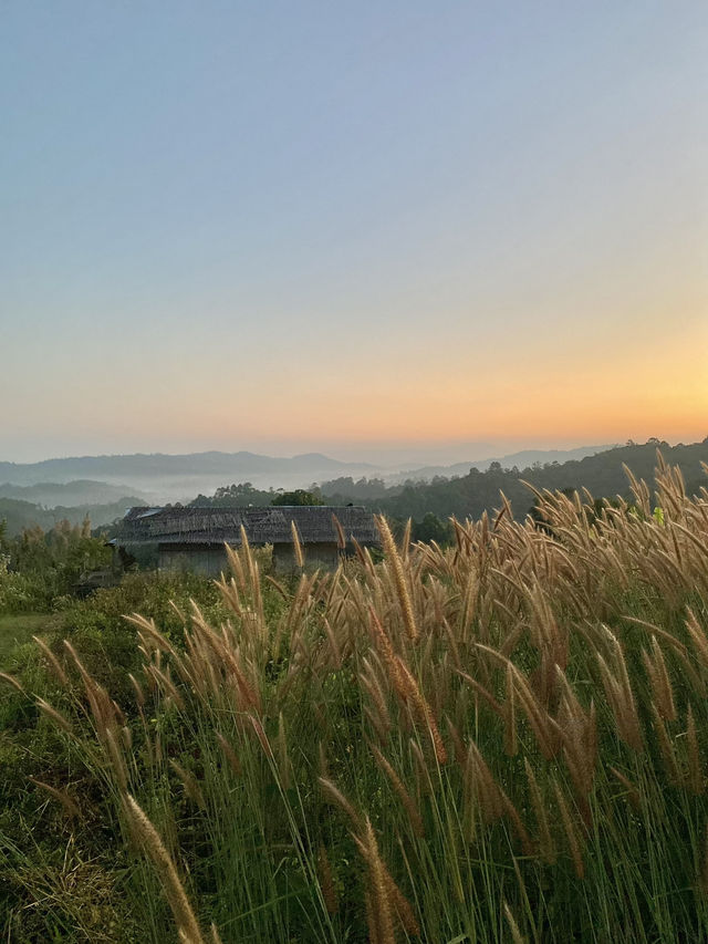 ฤดูหนาวที่ดูเลเล | จ.เชียงใหม่ 🏡⛰️🌿🔥