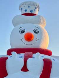 Sun Island (太阳岛): A Winter Wonderland in Harbin