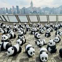 PANDA GO！香港-聖誕必去，逾2000隻大熊貓雕塑萌爆香港