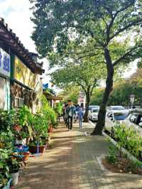 A Timeless Stroll Through Gyeongju Gyochon Traditional Village