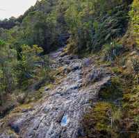 Journey to the Glacier: Exploring Robert’s Point Track🏔️🌿