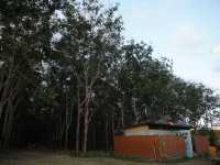 Chid ธรรมชาติ ที่พักบ้านรักไทย เนินมะปราง 