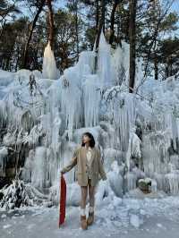 어디 북유럽아니고 대한민국 의정부의 겨울왕국, 달리온⛄️🇰🇷