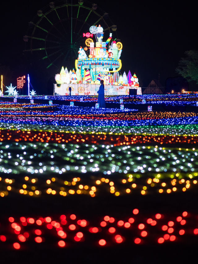 【1000円で楽しめる！✨】東京ドイツ村のイルミネーションが充実すぎる！🎄🎵