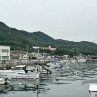 瀨戶內海單車旅行