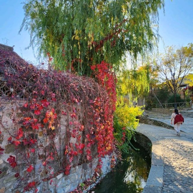 ฤดูที่สวยที่สุดของปักกิ่ง🍂