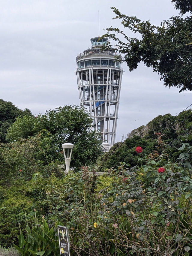 Enoshima Shrine - Hetsunomiya, Japan