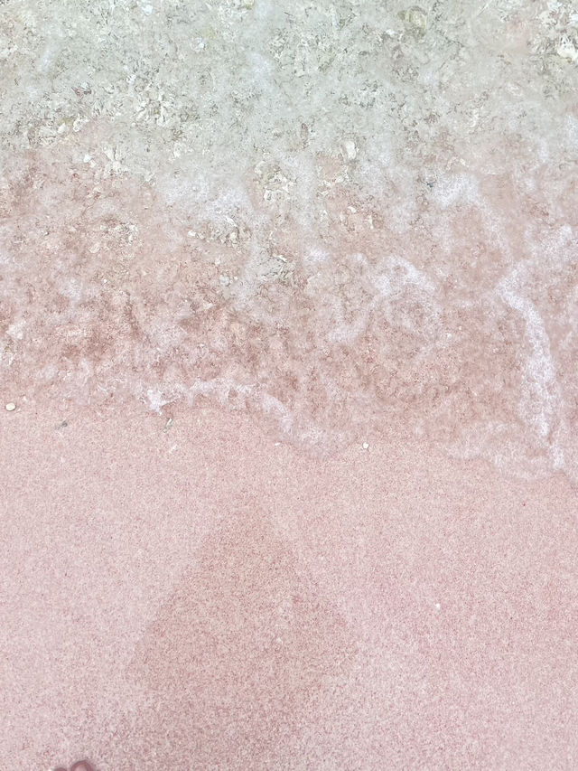 Pink Beach: Nature’s Cotton Candy Coastline