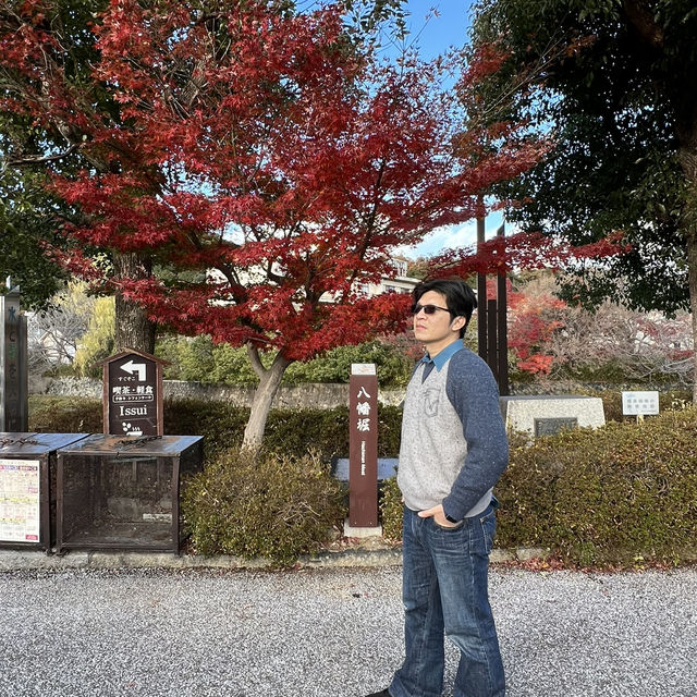 滋賀賞楓，你一定不能錯過八幡堀